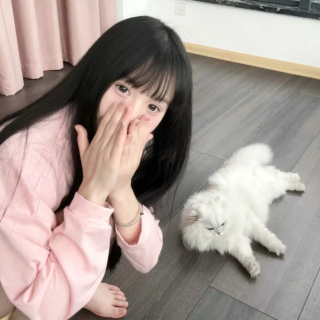 疯狂丑小鸭2靠谱英雄