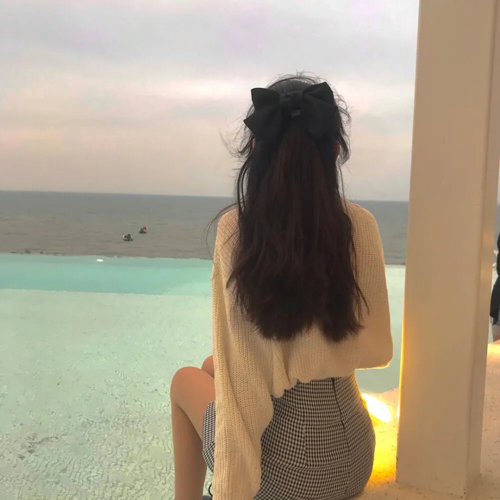 全面搜寻圣诞狗狗